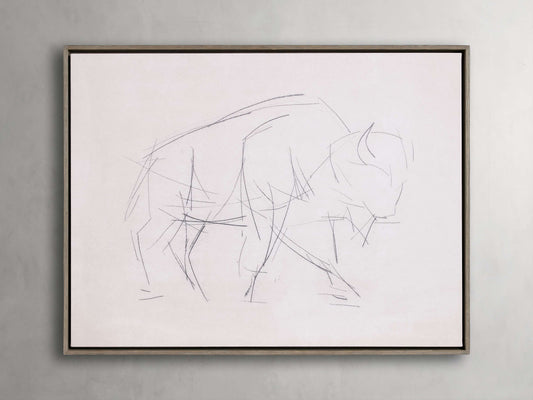 Bison Study Framed Print