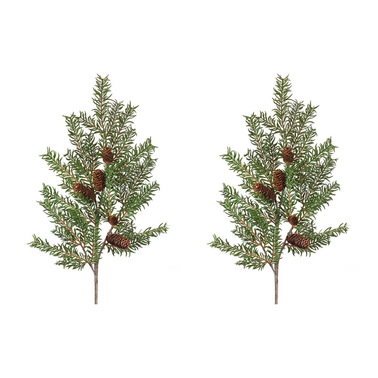 Pine Spray, Set of 2