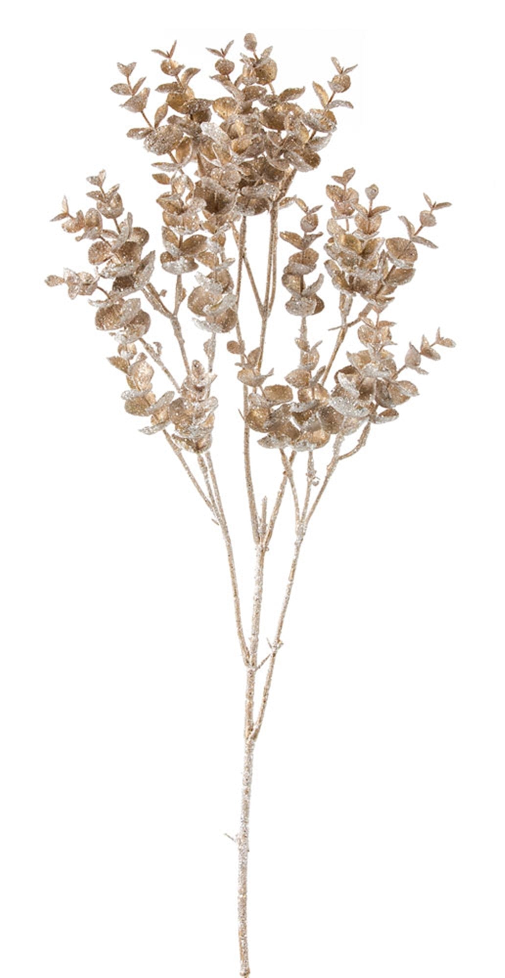 Gold Frosted Eucalyptus Spray, Set of 12