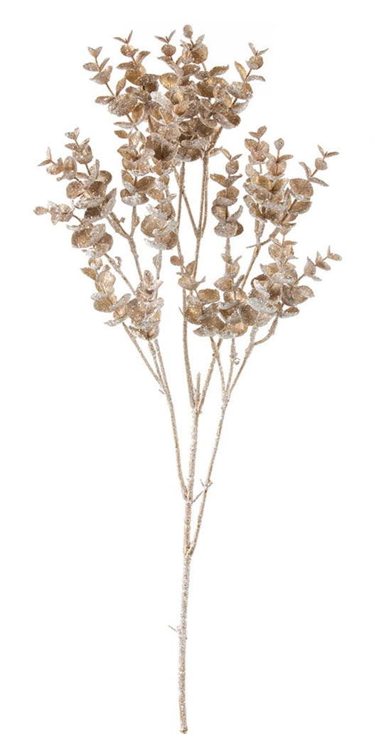 Gold Frosted Eucalyptus Spray, Set of 12
