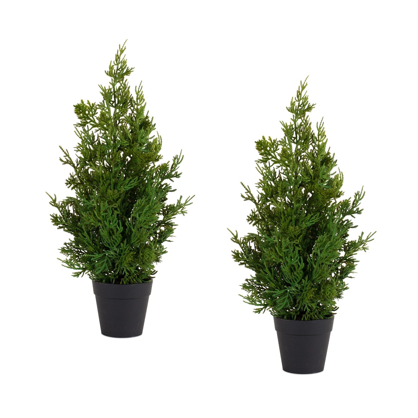 Holiday Pine Tree in Plastic Pot, Set of 2