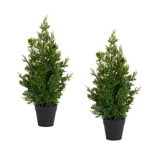 Holiday Pine Tree in Plastic Pot, Set of 2