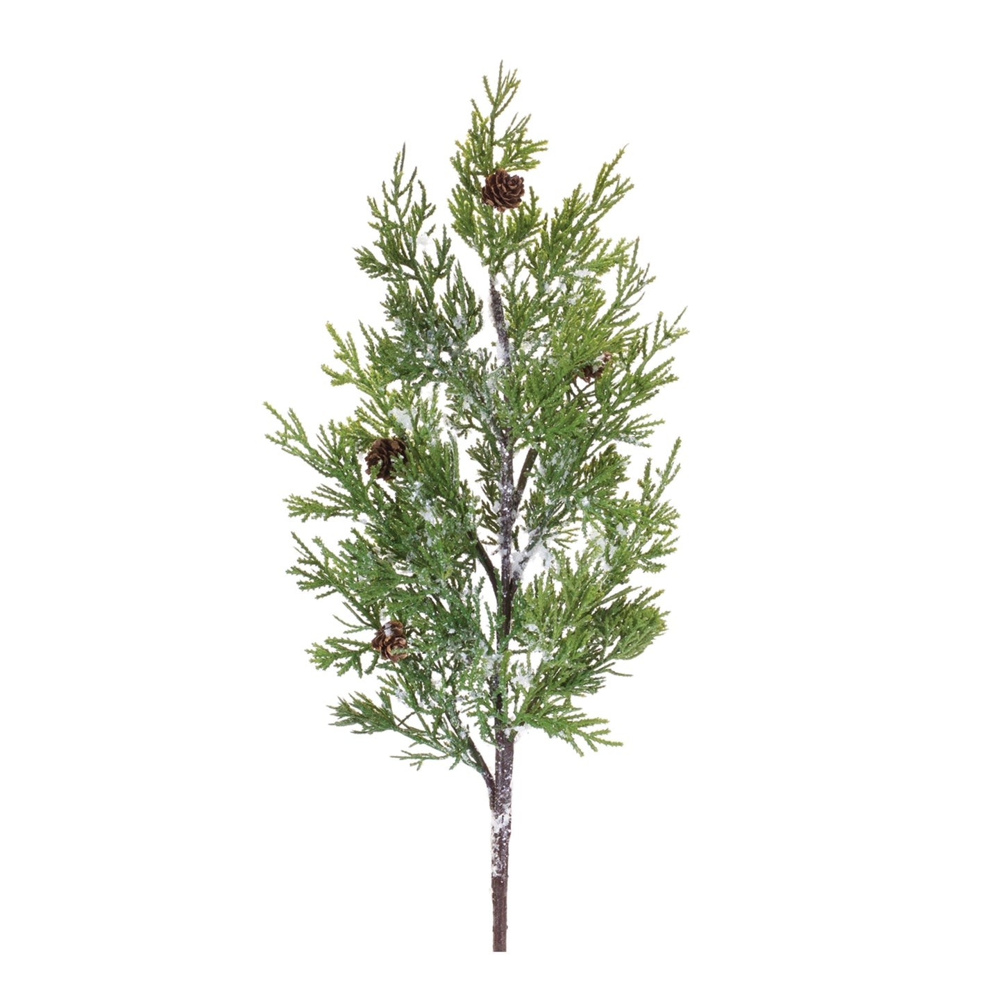 Pine Spray, Set of 2