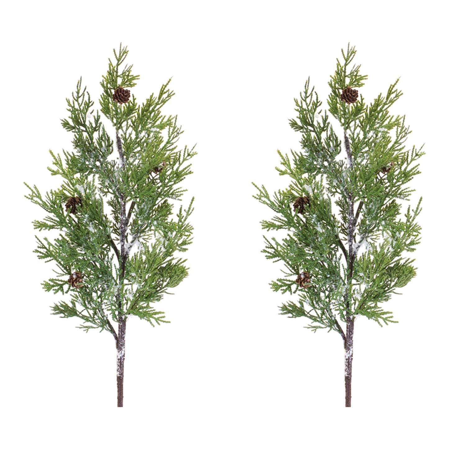 Pine Spray, Set of 2
