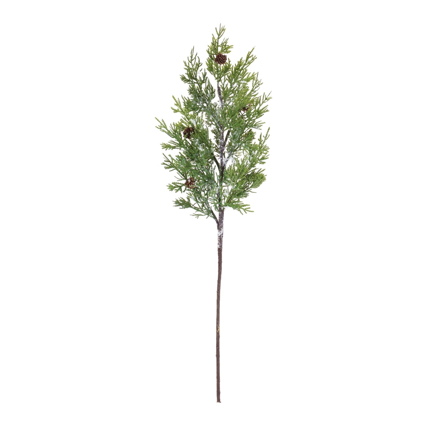 Pine Spray, Set of 2