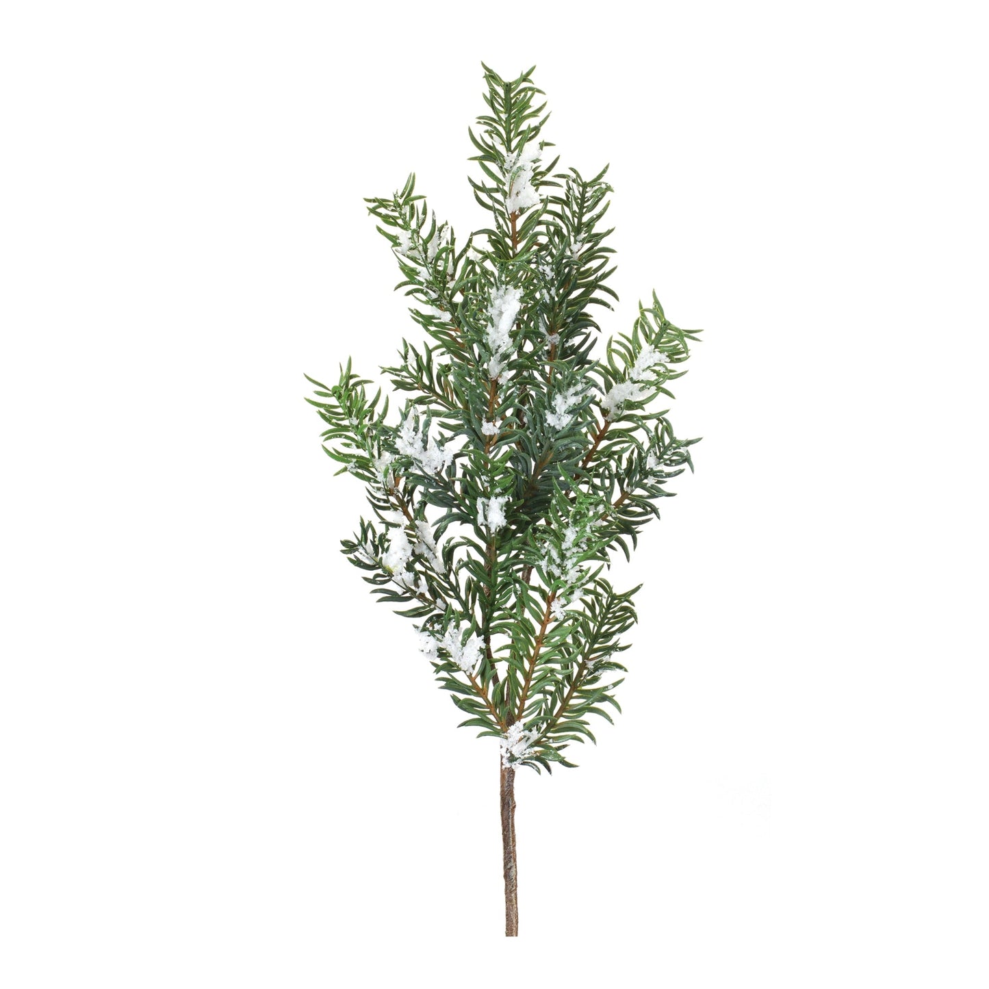Snow Pine Spray, Set of 6