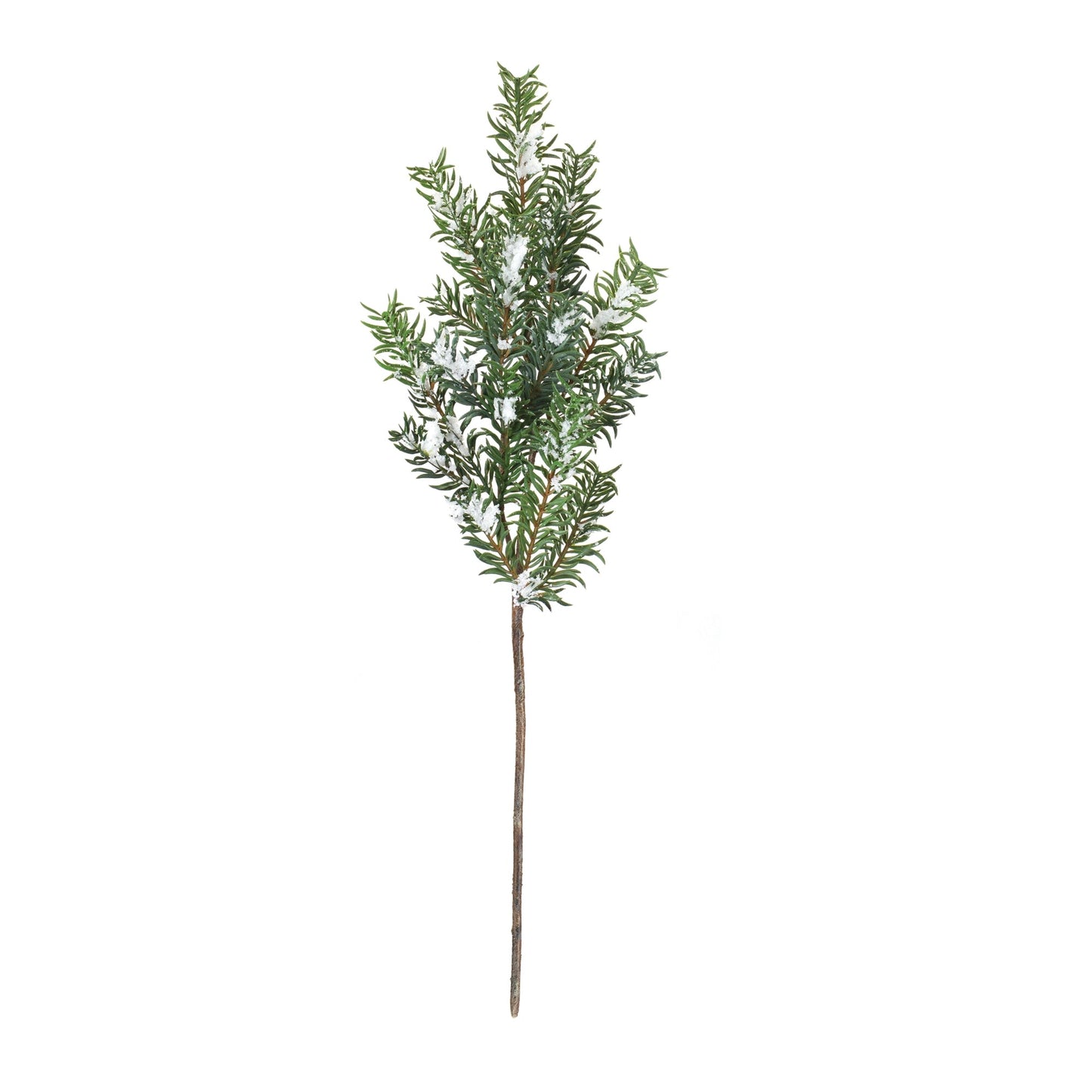 Snow Pine Spray, Set of 6