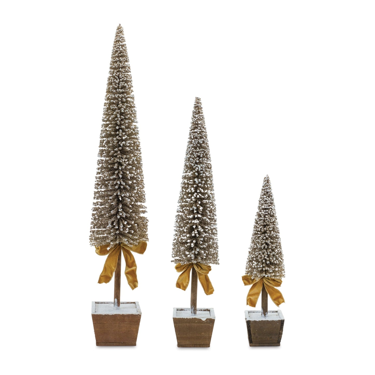 Potted Bottle Brush Pine Tree, Set of 3