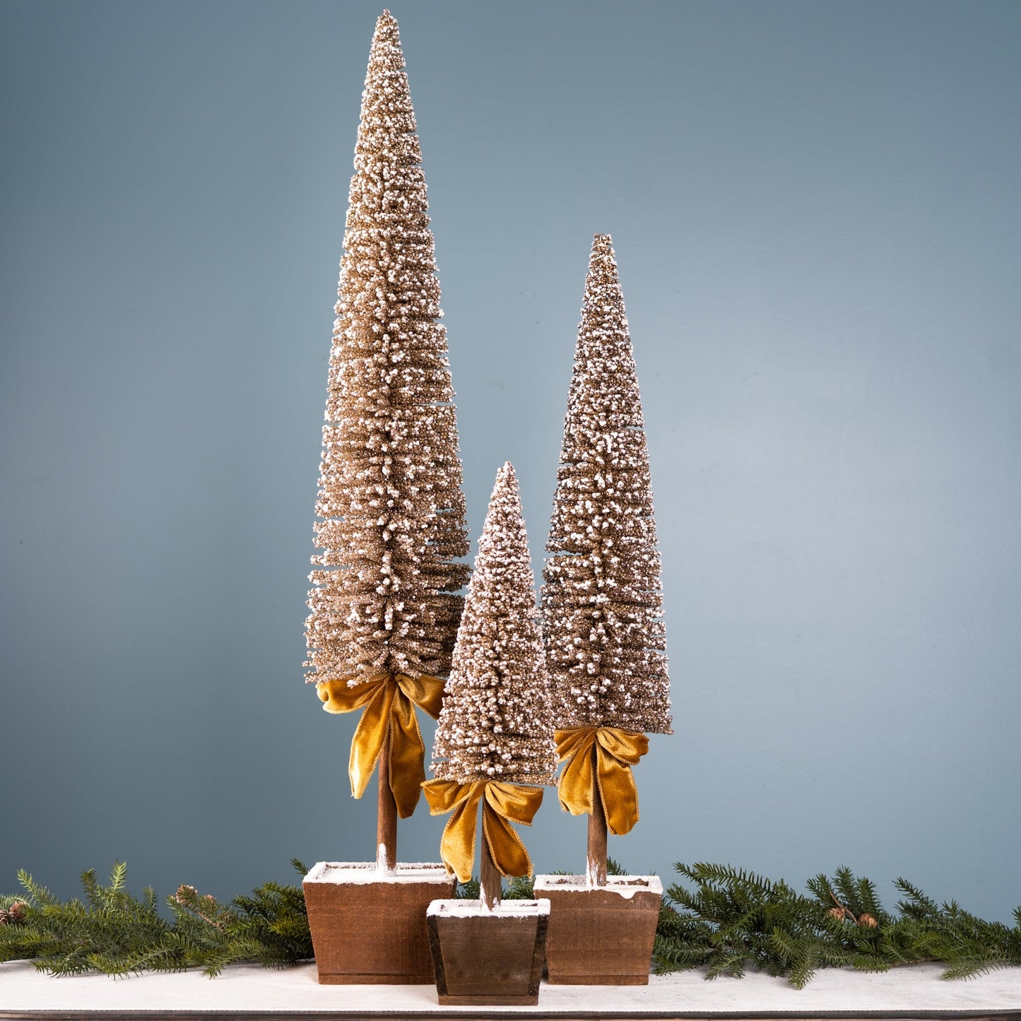 Potted Bottle Brush Pine Tree, Set of 3