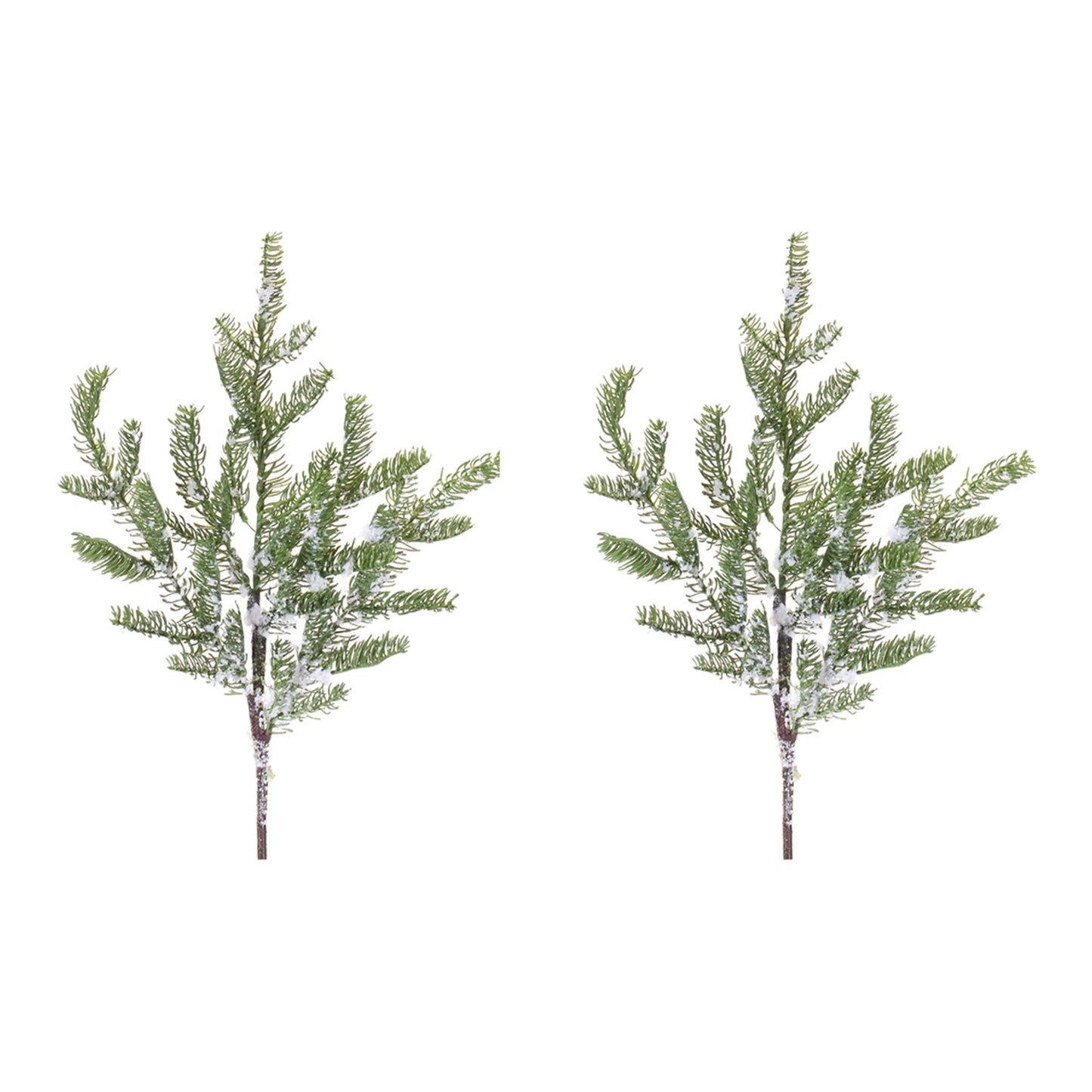 Pine Spray, Set of 2