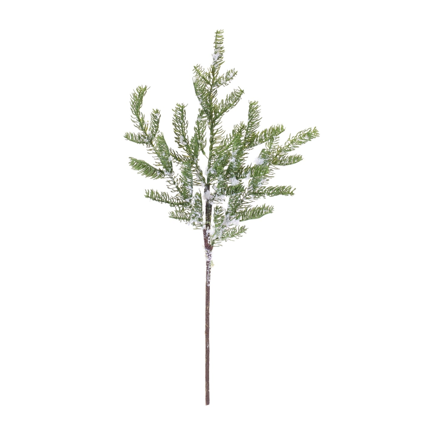 Pine Spray, Set of 2