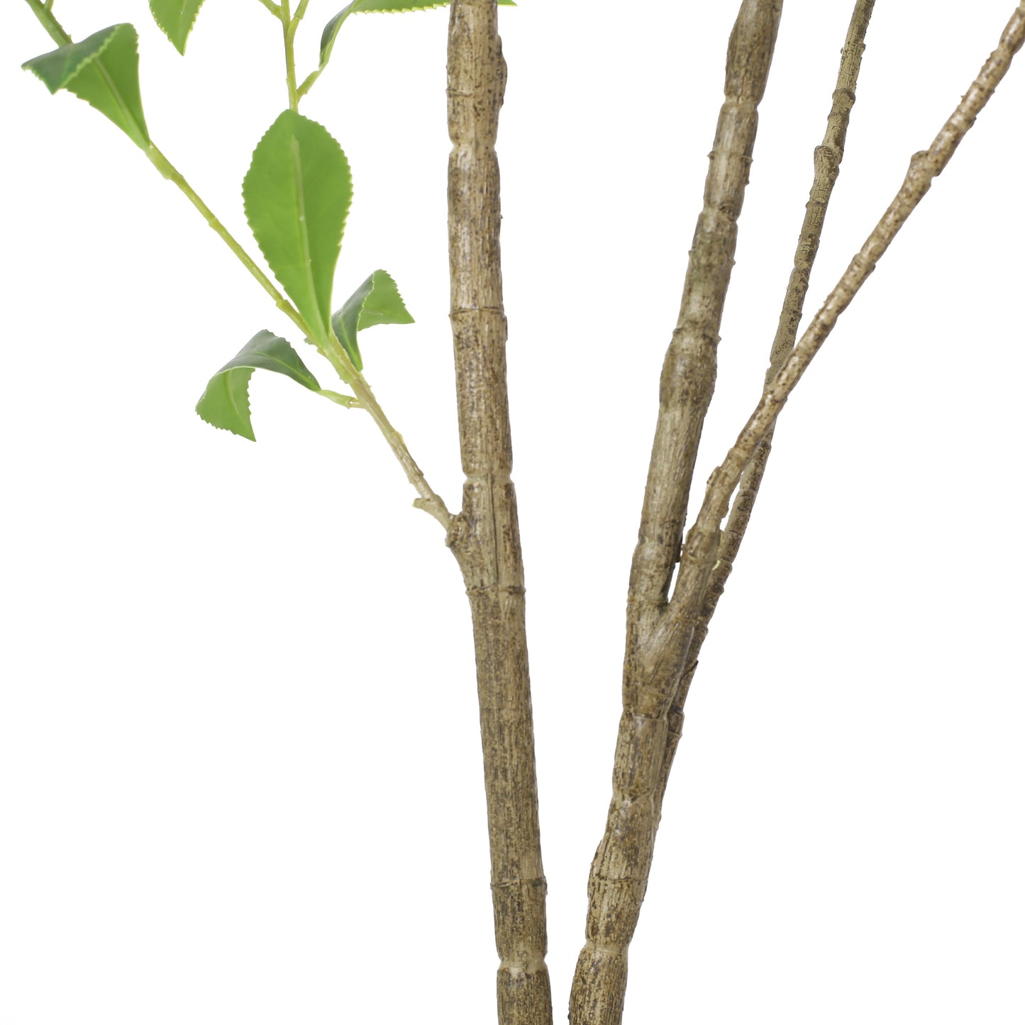 Artificial Pieris Tree