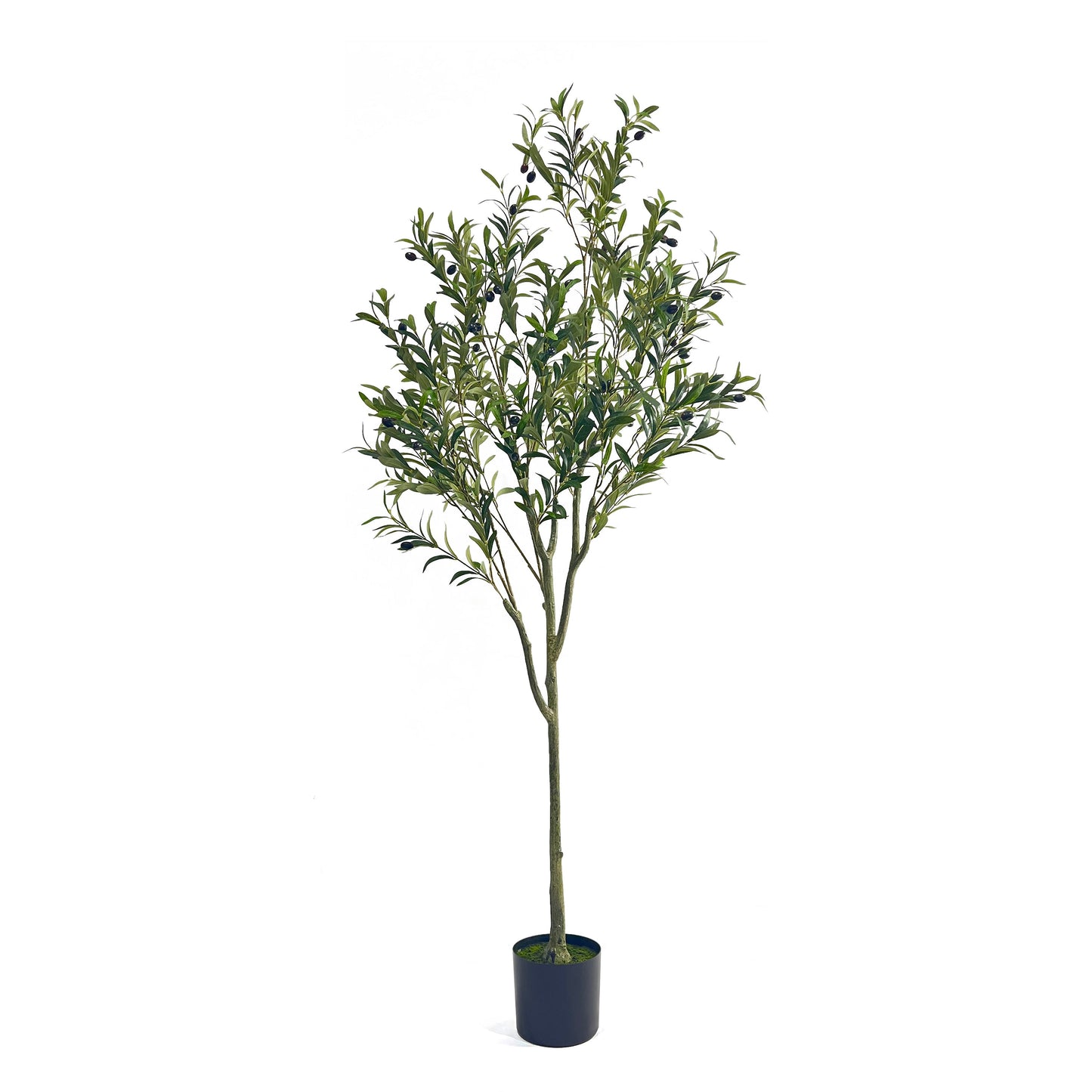 Vortexed Artificial Olive Tree