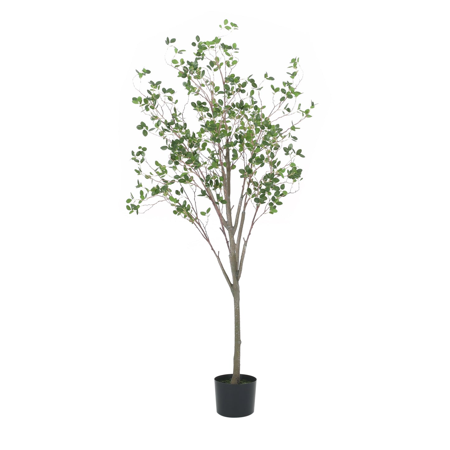 Veracity Artificial Milan Leaves Bonsai