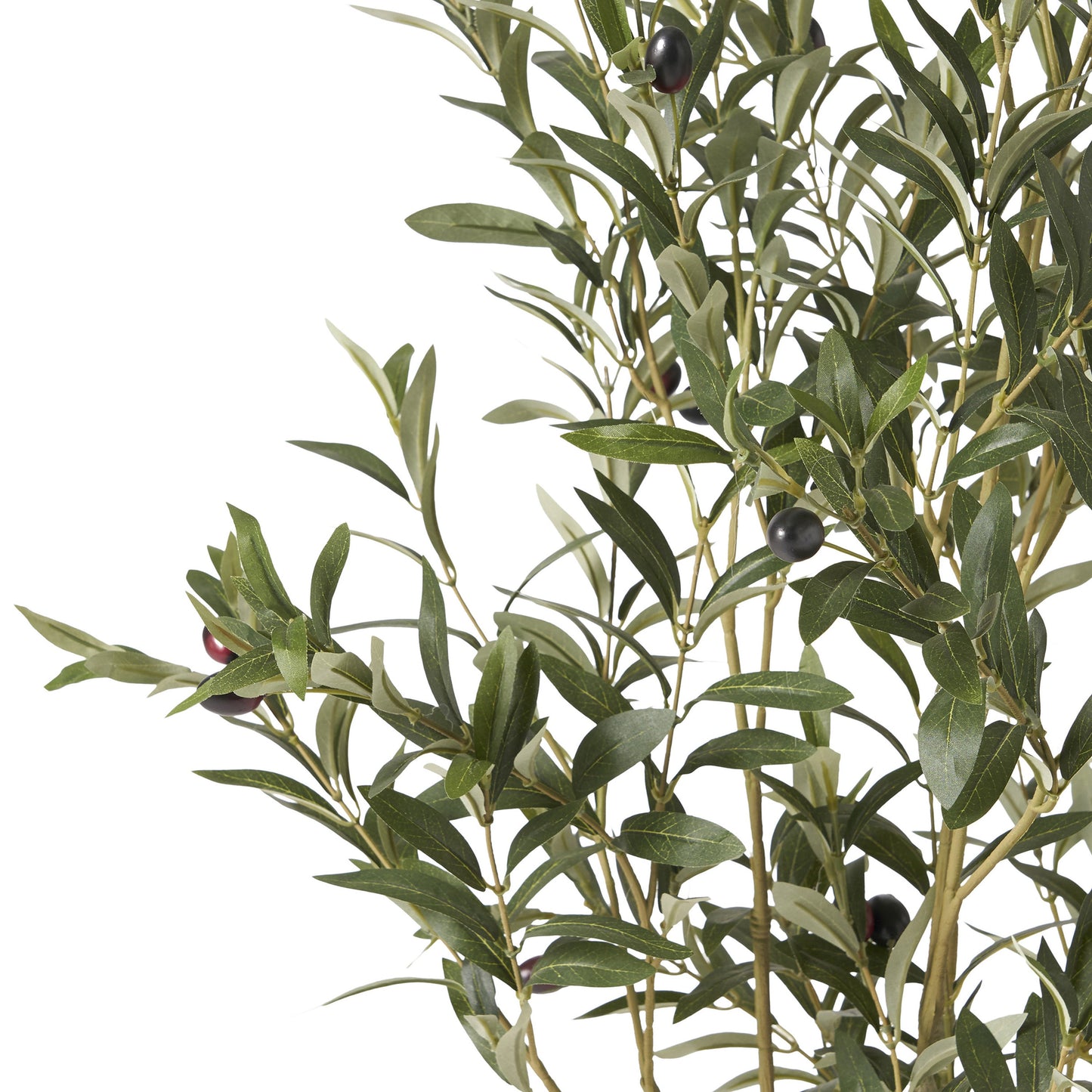 Vortexed Artificial Olive Tree