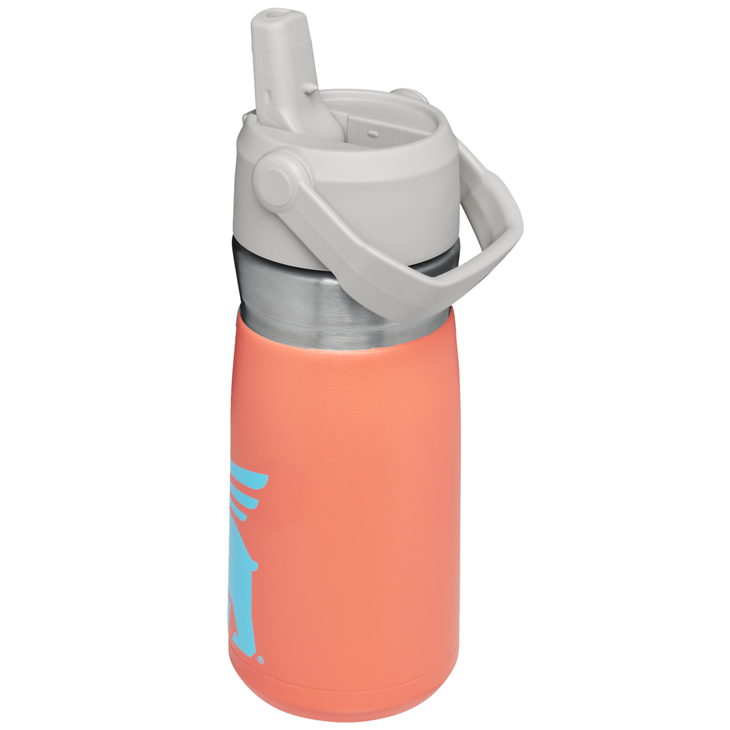 The Wild Imagination IceFlow™ Flip Straw Water Bottle | 17 OZ