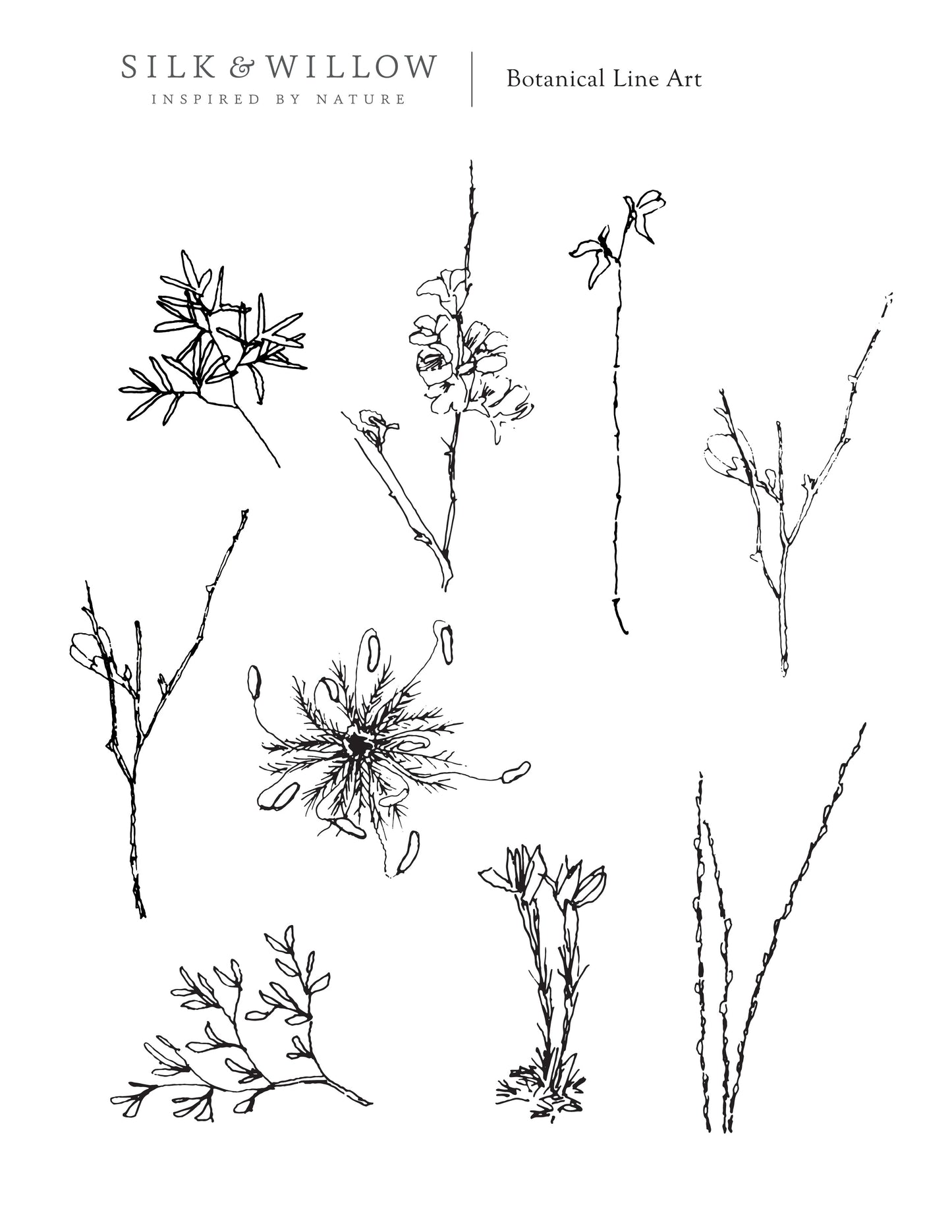 Botanical Line Art {Full Set} Digital Download