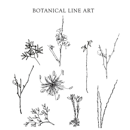 Botanical Line Art {Full Set} Digital Download