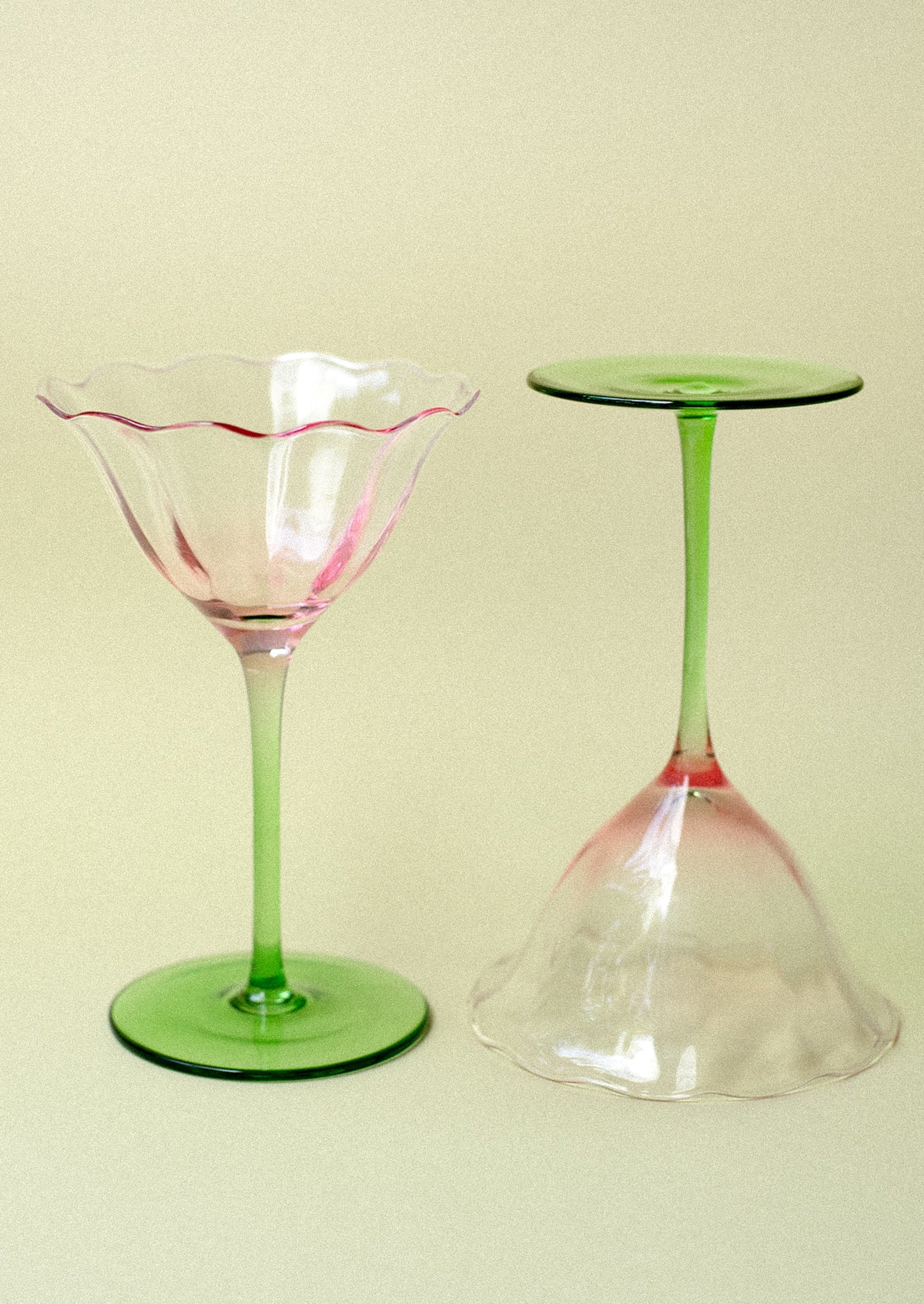Tulip Coupe Glass