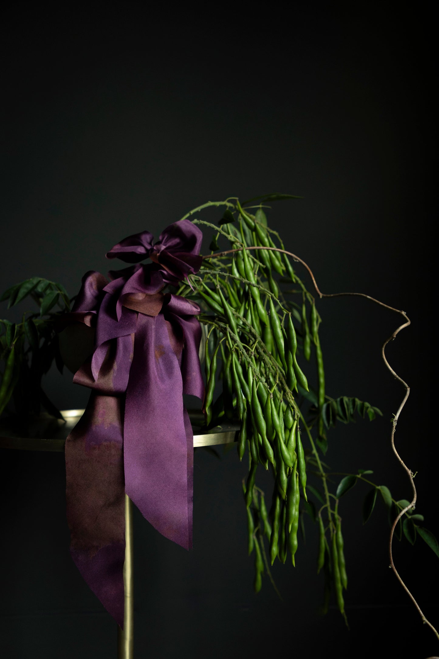 Botanical Print / Hot Peony (Dark) Silk ribbon