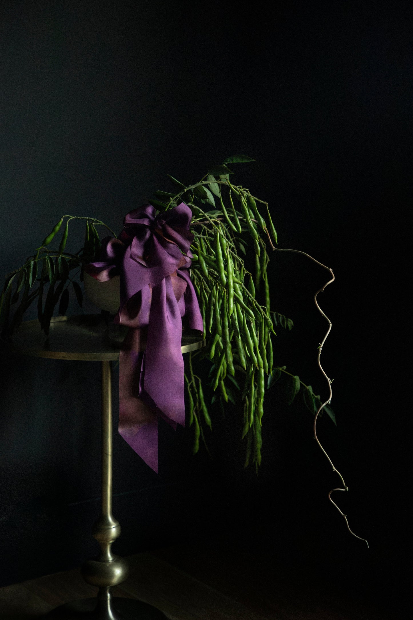 Botanical Print / Hot Peony (Dark) Silk ribbon