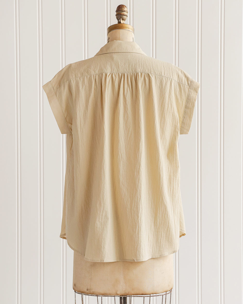 Noted on Parchment Top
