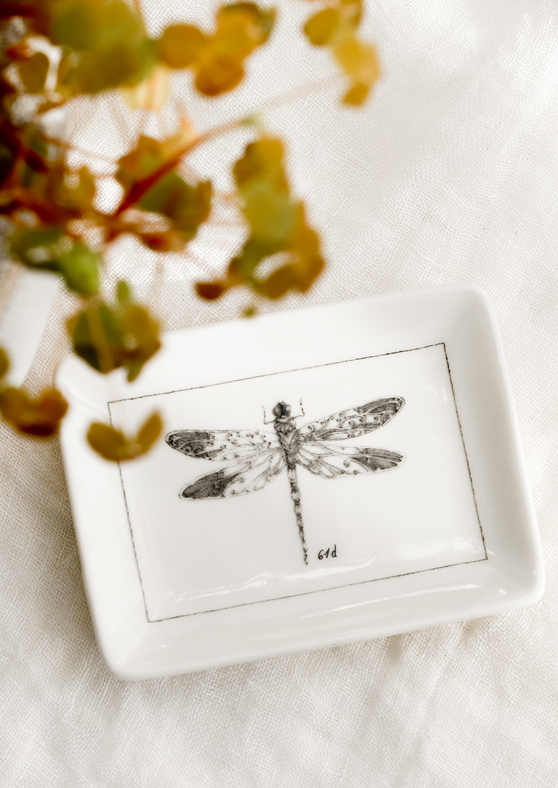 Entomology Trinket Dish