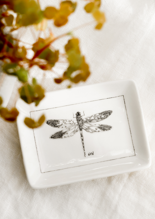 Entomology Trinket Dish