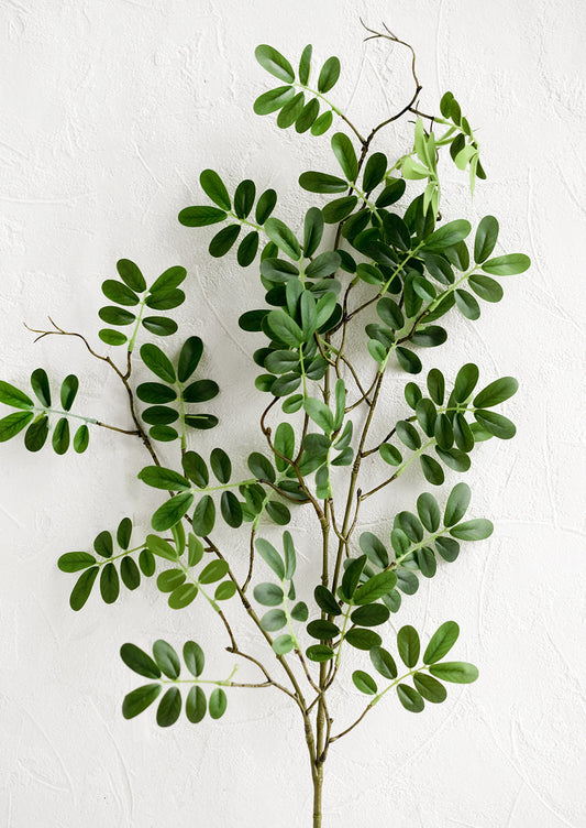 Faux Phyllanthus Stem