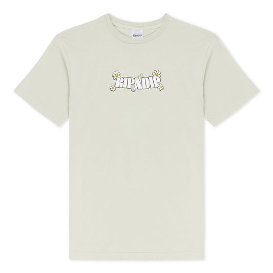 Looking Glass Tee (Sage)