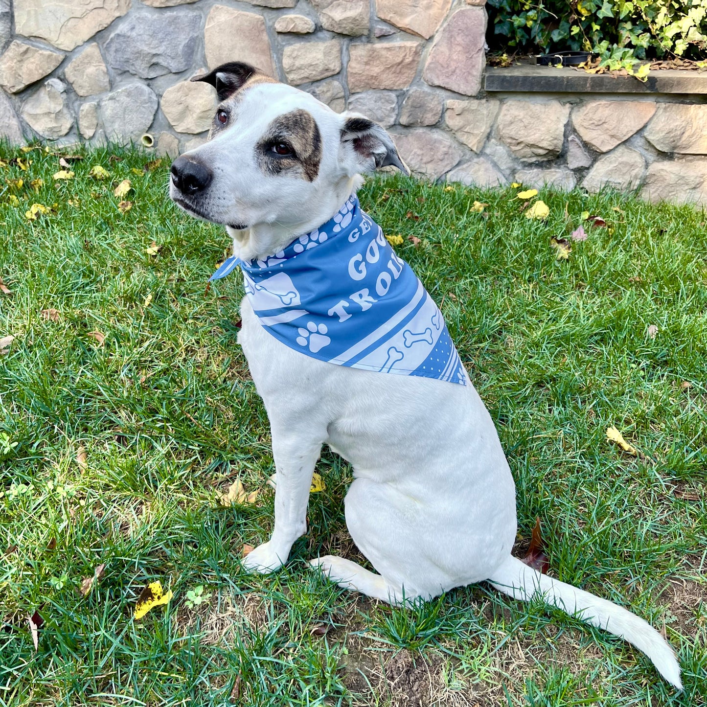 Good Trouble Dog Bandana
