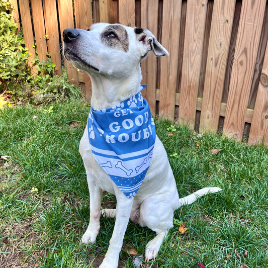 Good Trouble Dog Bandana