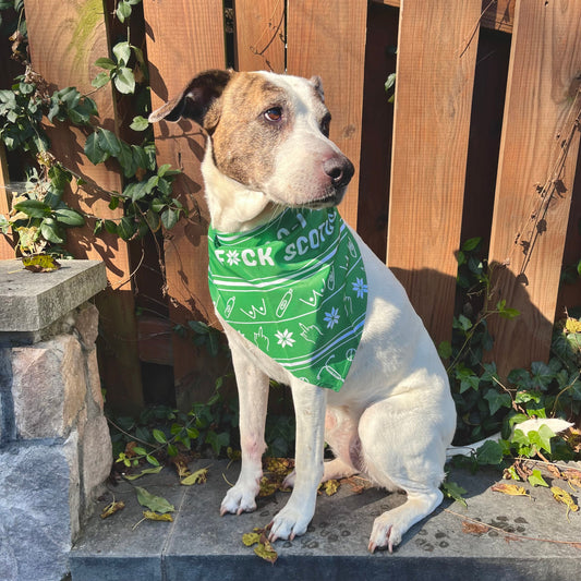 Fa La La La F*ck Scotus Dog Bandana