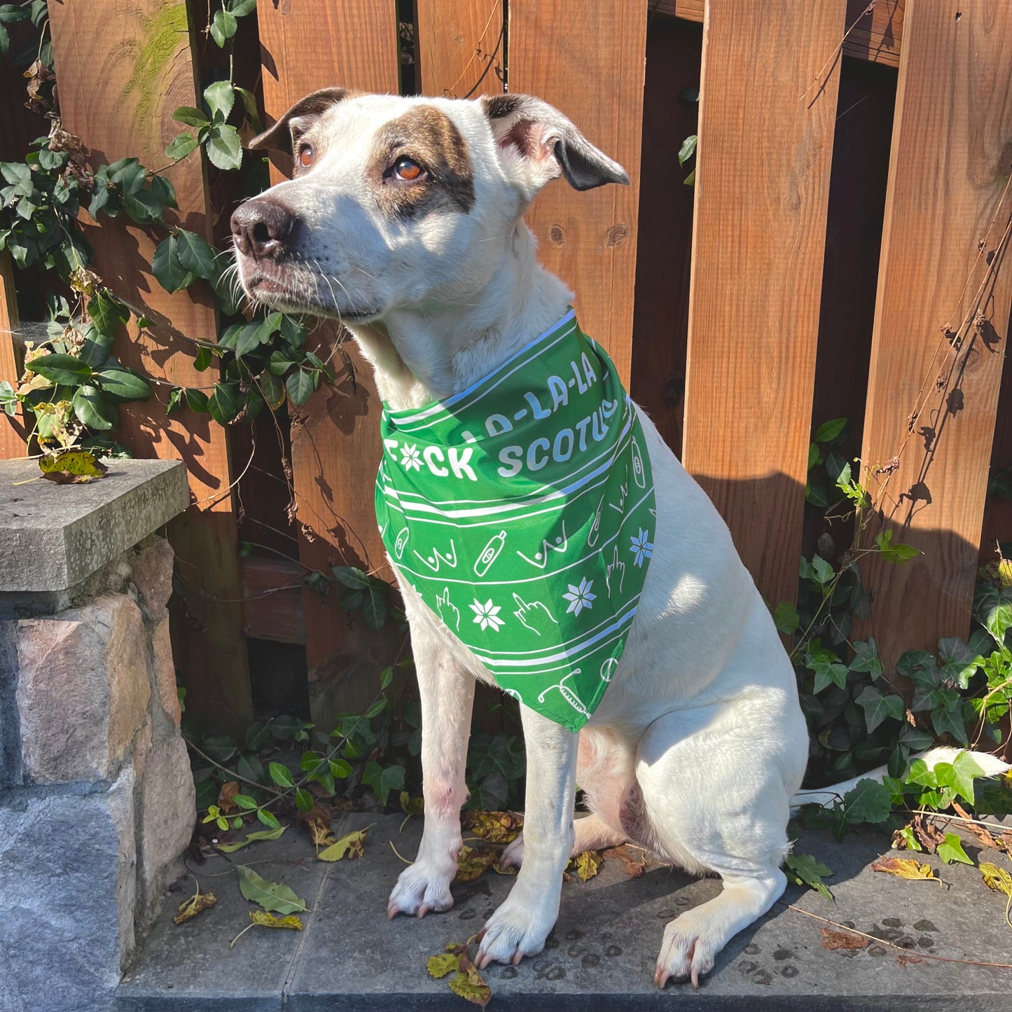 Fa La La La F*ck Scotus Dog Bandana