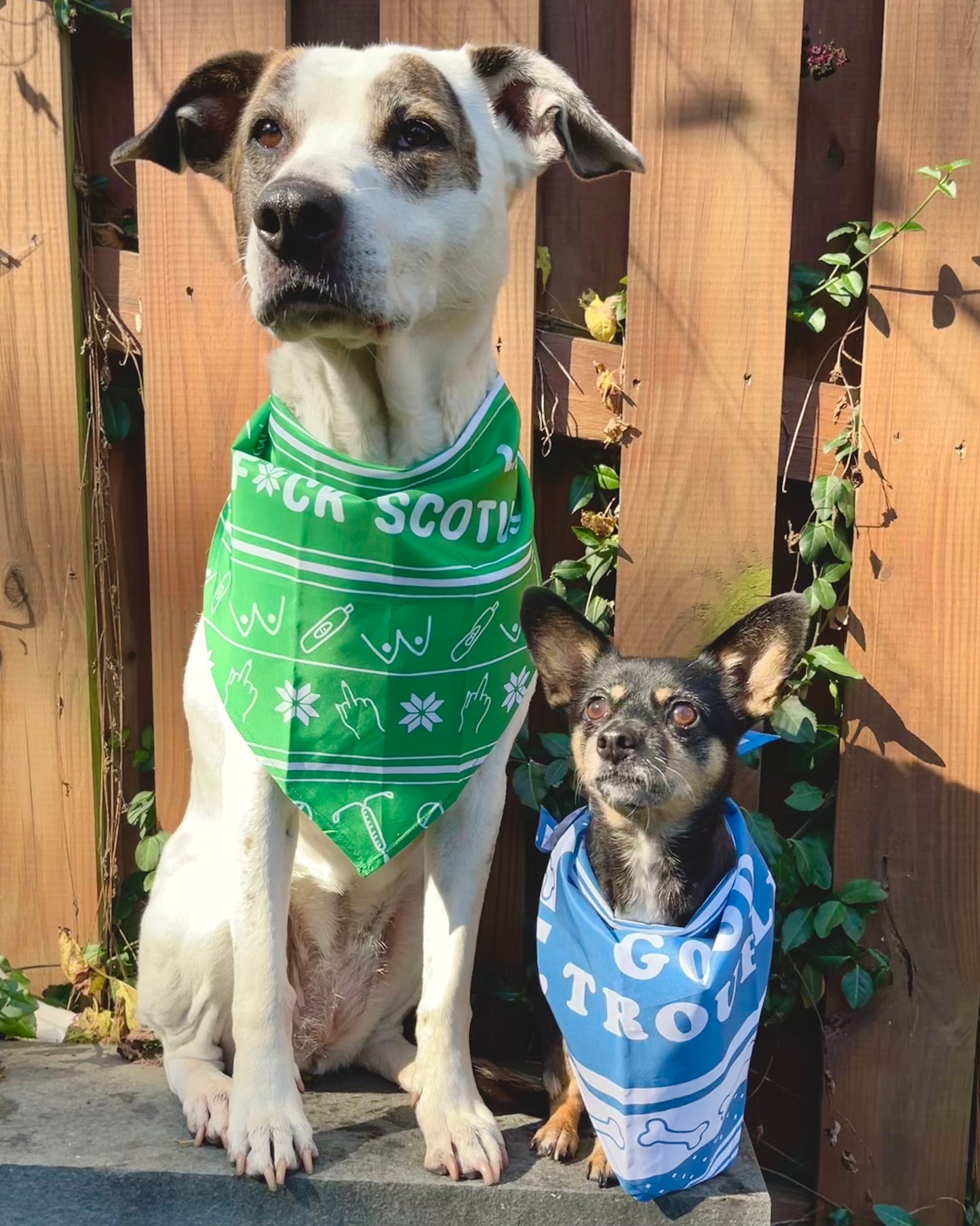 Good Trouble Dog Bandana