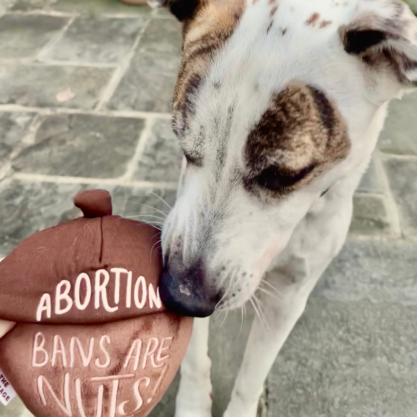 Abortion Bans Are Nuts Plush Dog Toy