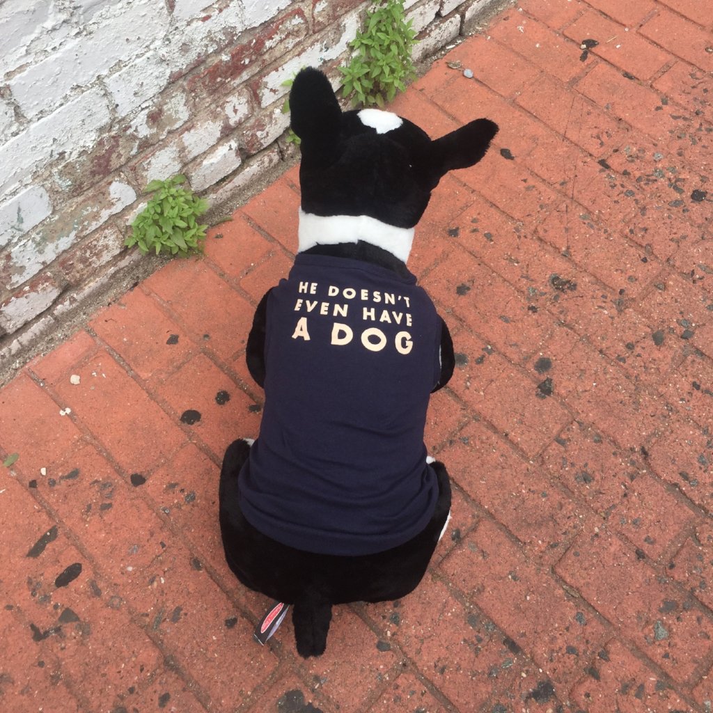 He Doesn't Even Have A Dog Dog Tank