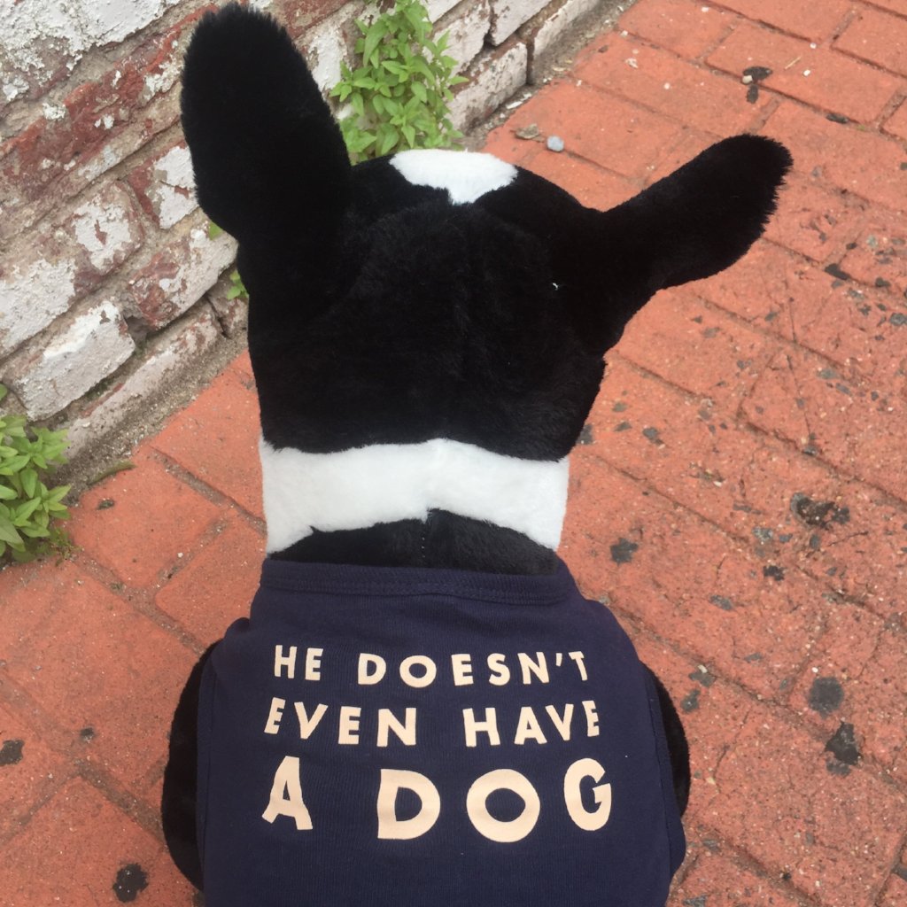 He Doesn't Even Have A Dog Dog Tank