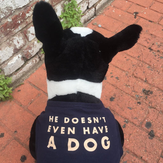 He Doesn't Even Have A Dog Dog Tank