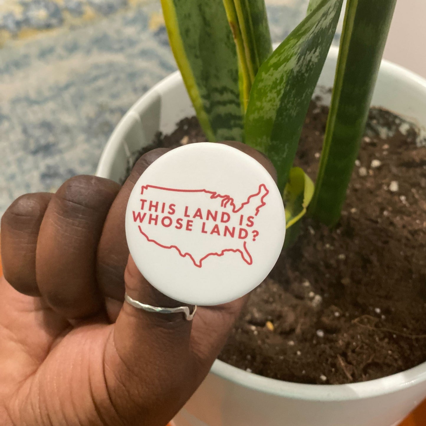 This Land Is Whose Land Button