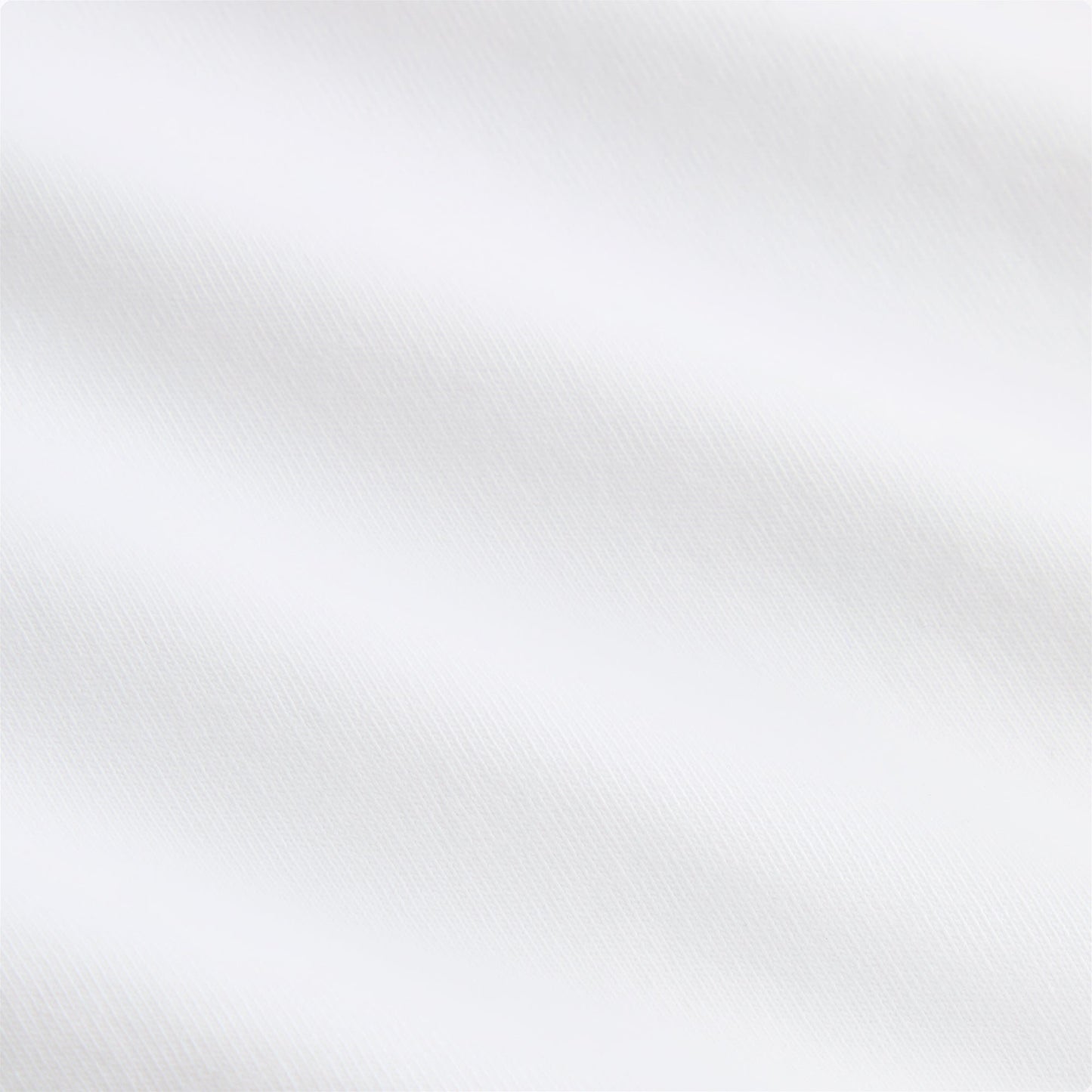 Kith Olive Tree Tee - White