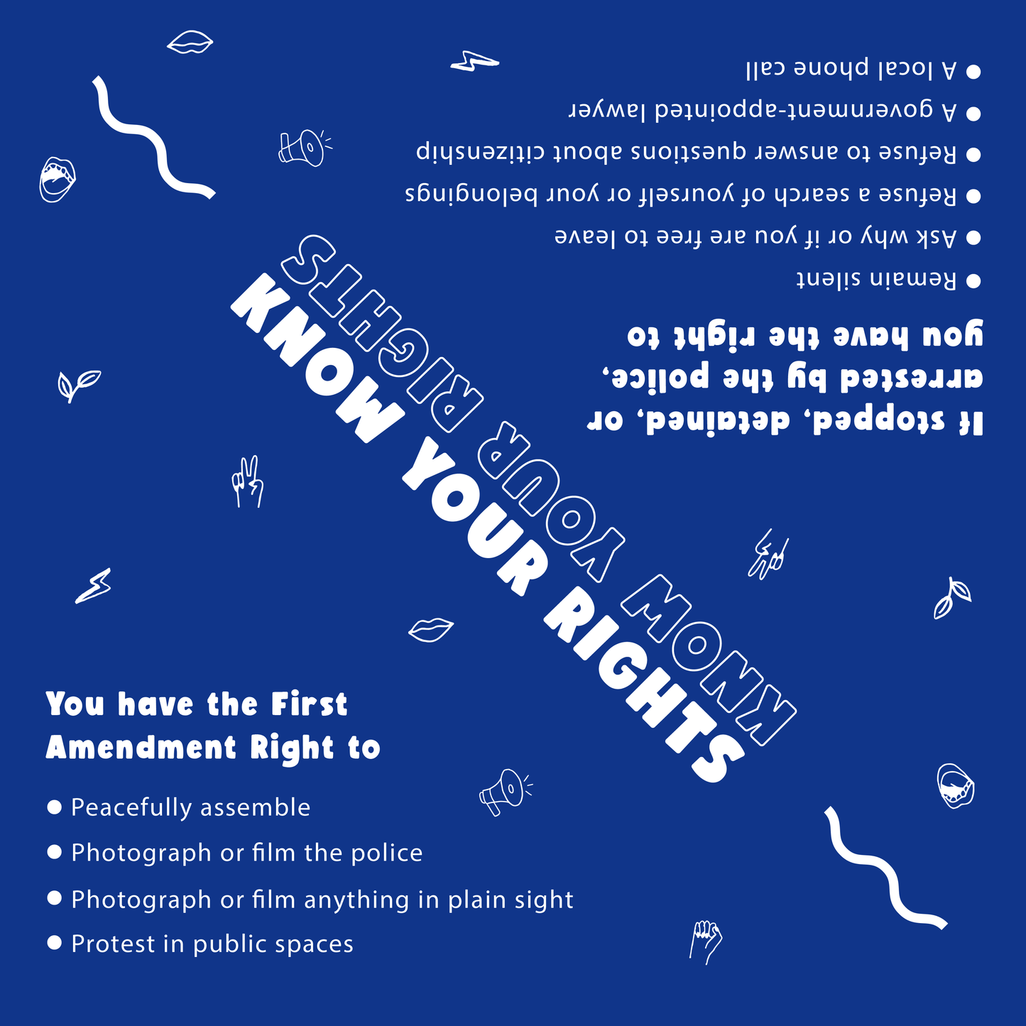 Know Your Rights Bandana