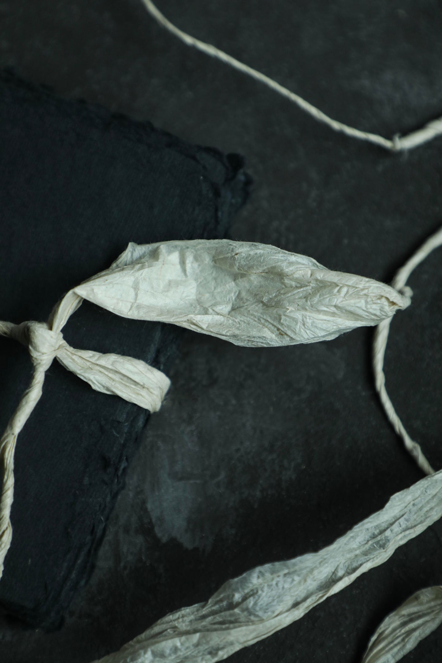 Lokta paper twine | Natural