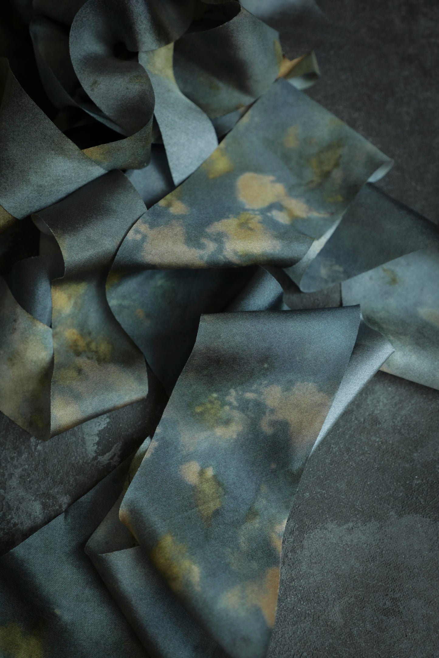 Botanical Print / Midnight Silk ribbon