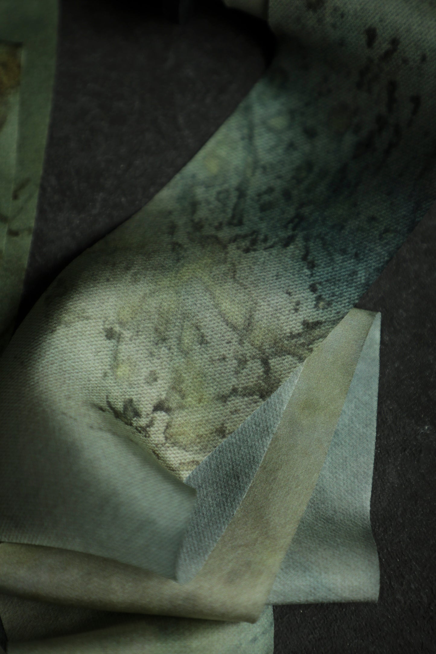 MISPRINT Botanical Print / Seascape Silk Ribbon