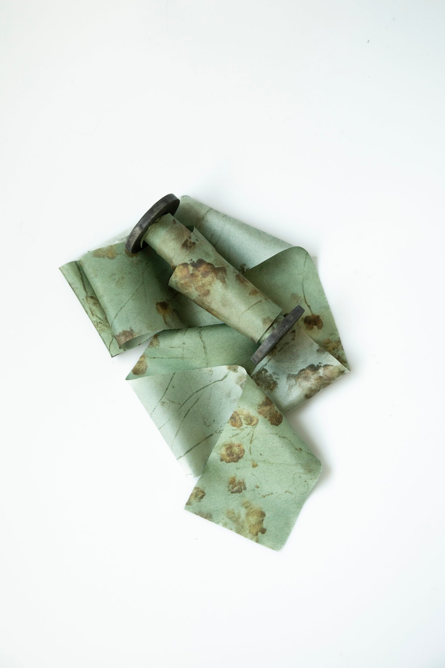 Botanical Print / Coreopsis Sage Silk ribbon