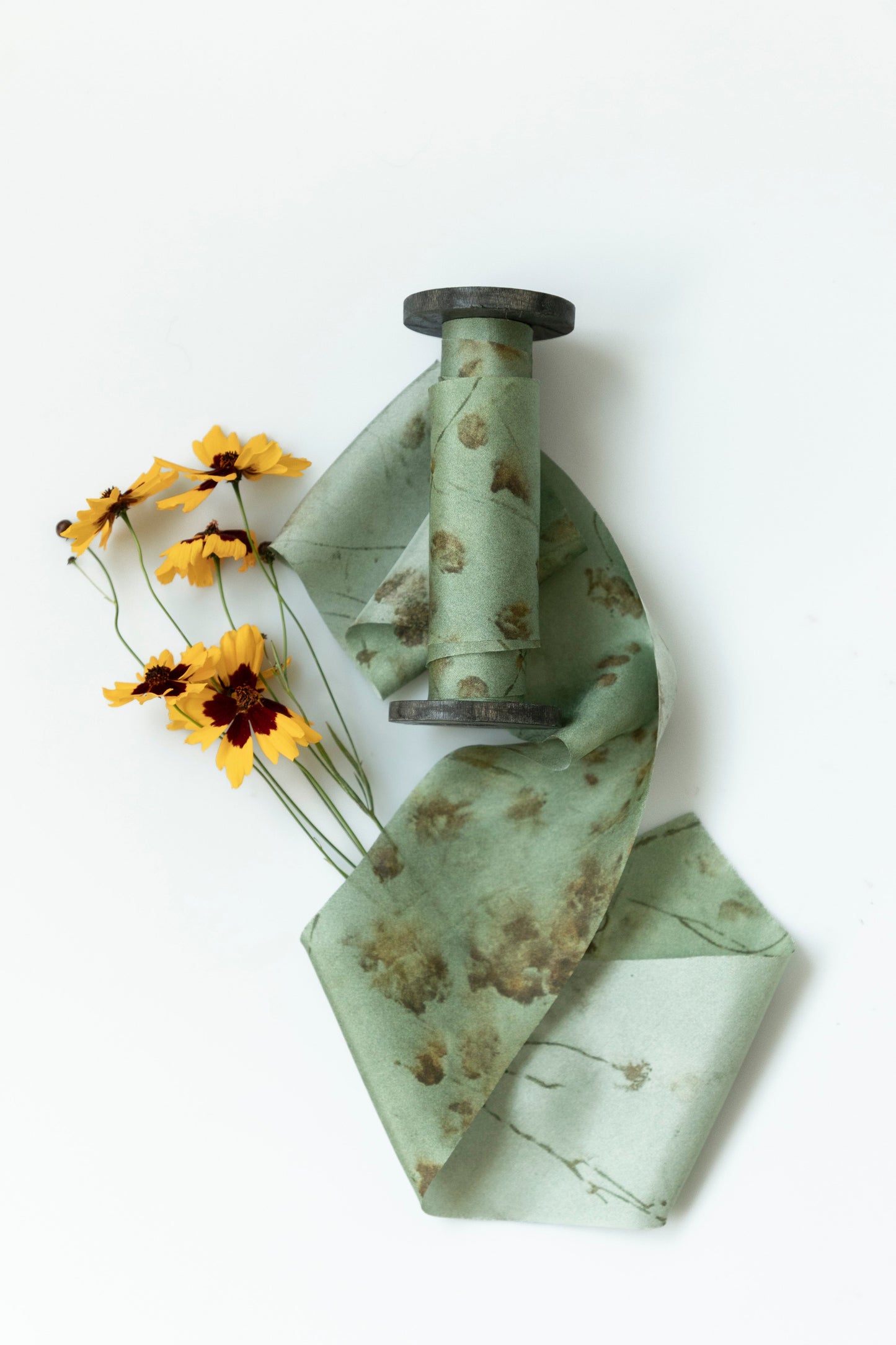 Botanical Print / Coreopsis Sage Silk ribbon
