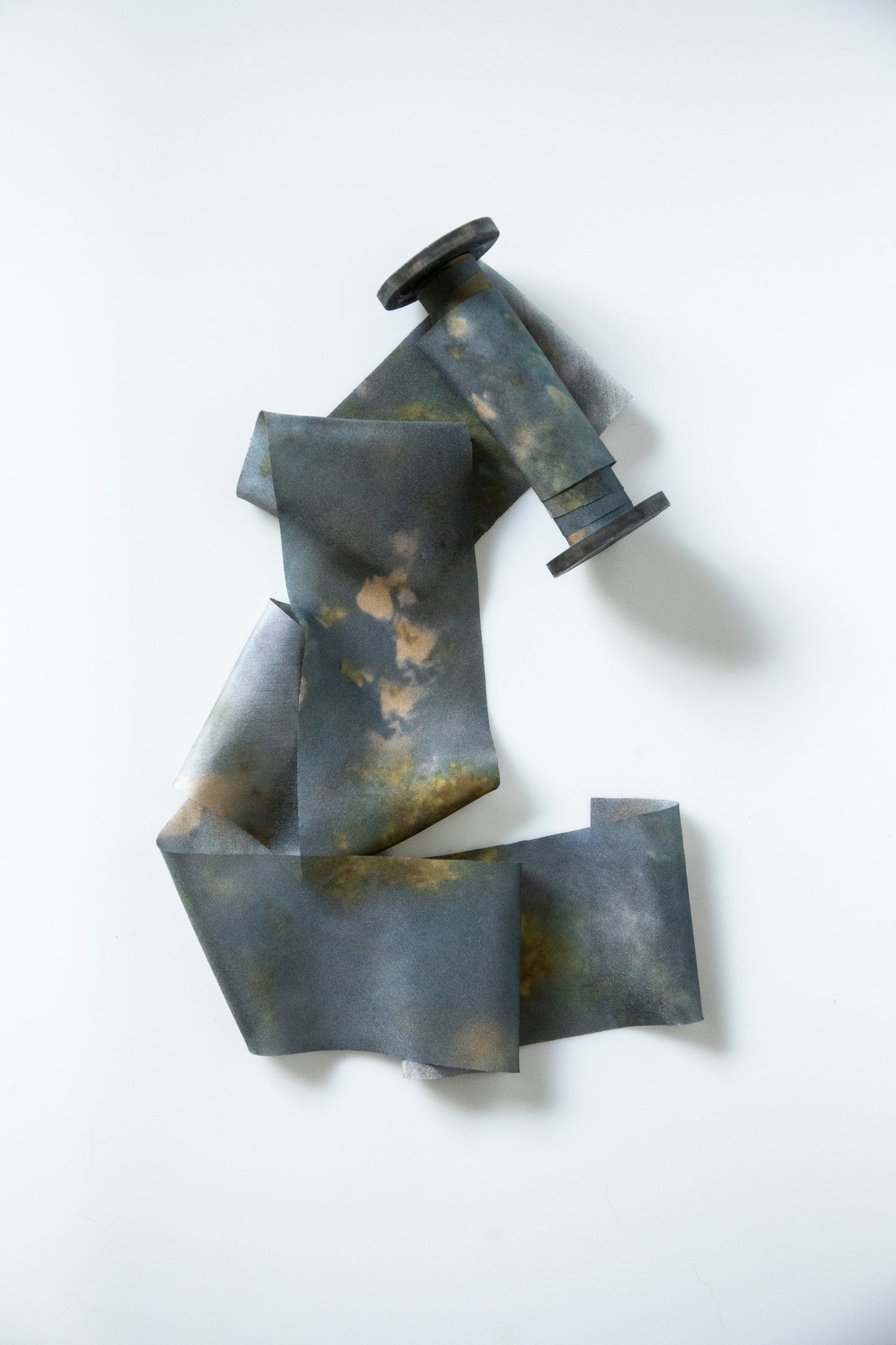 Botanical Print / Midnight Silk ribbon