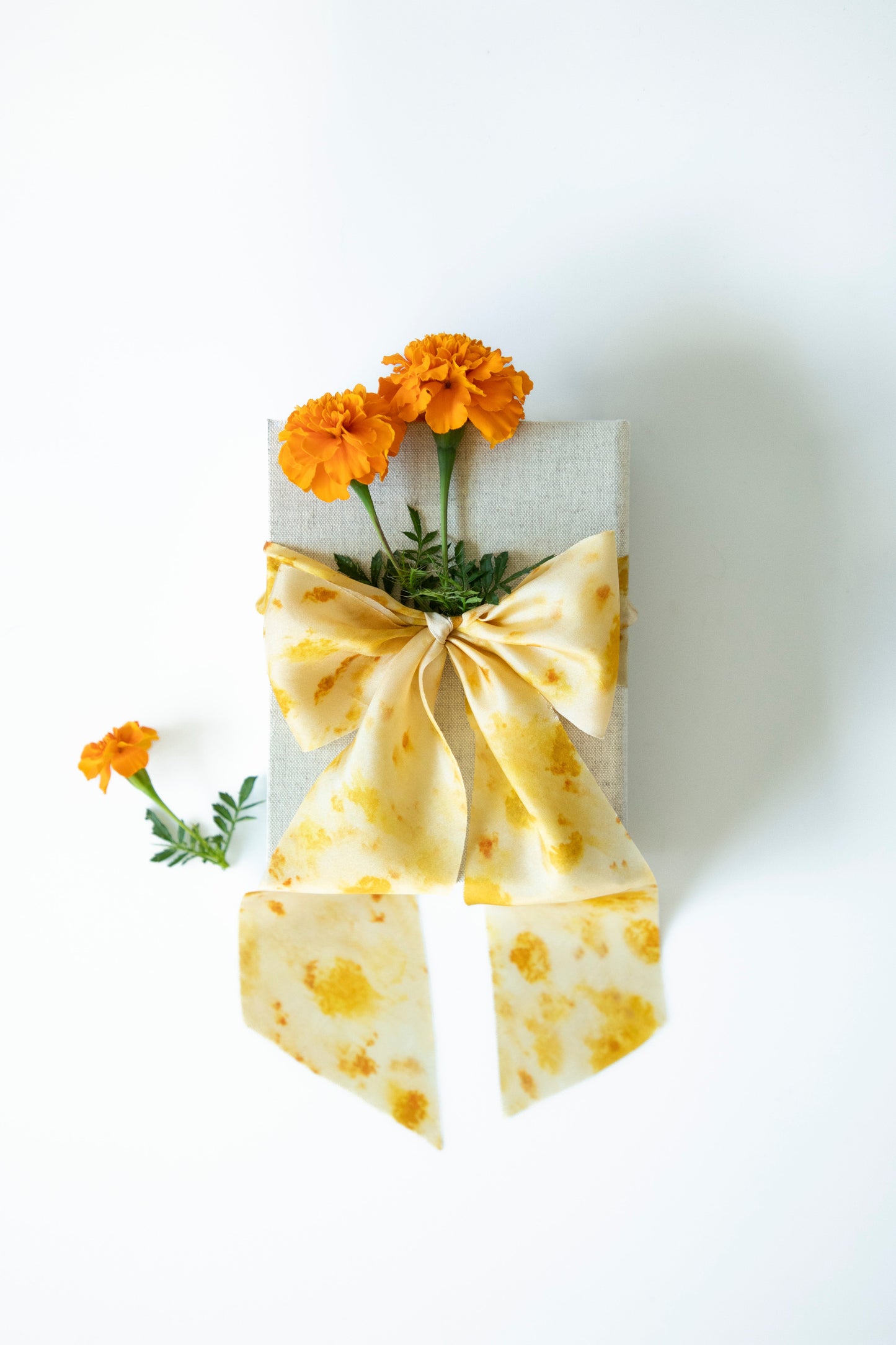 Botanical Print /  Marigold Yellow Silk Ribbon