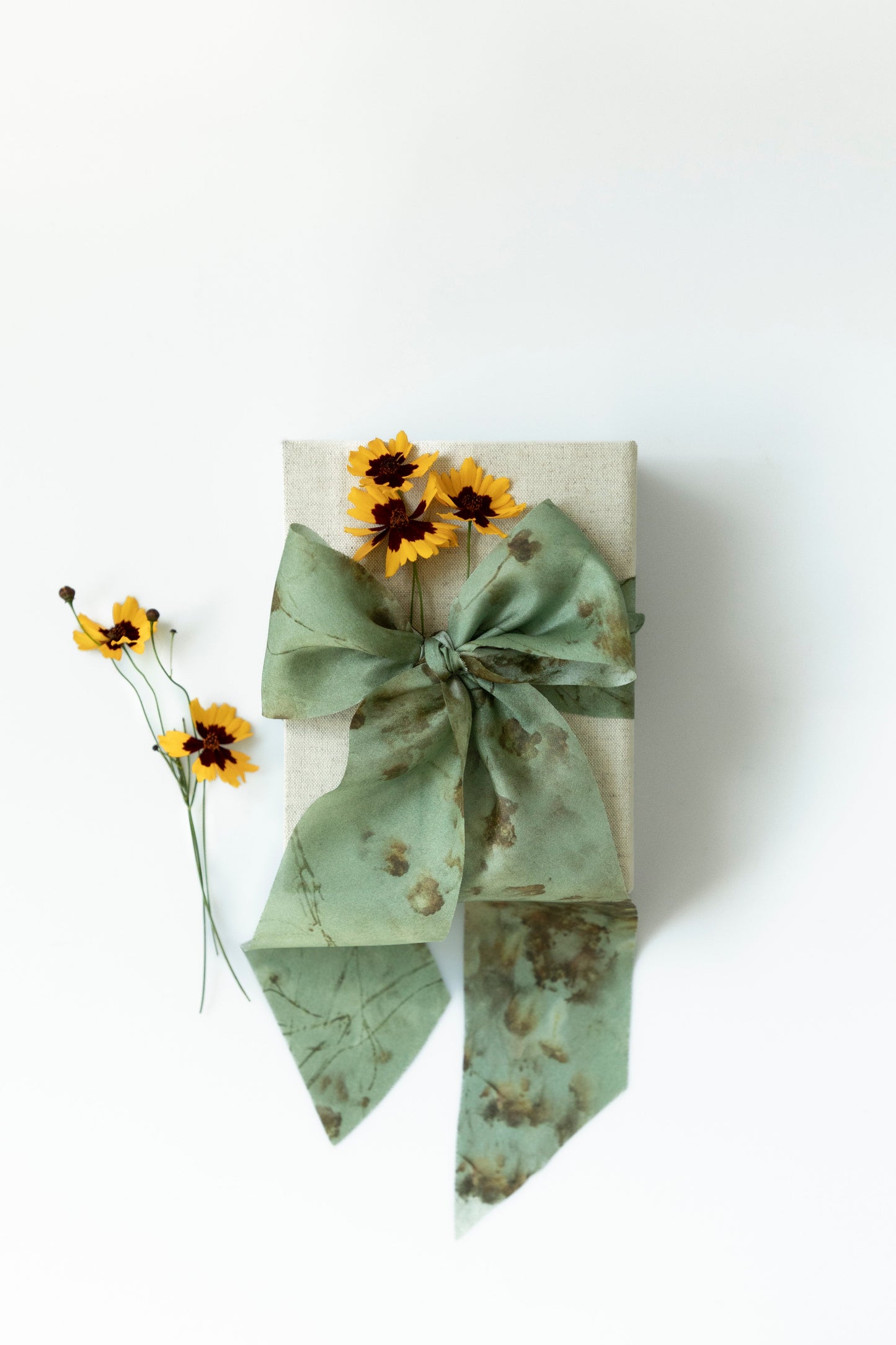 Botanical Print / Coreopsis Sage Silk ribbon